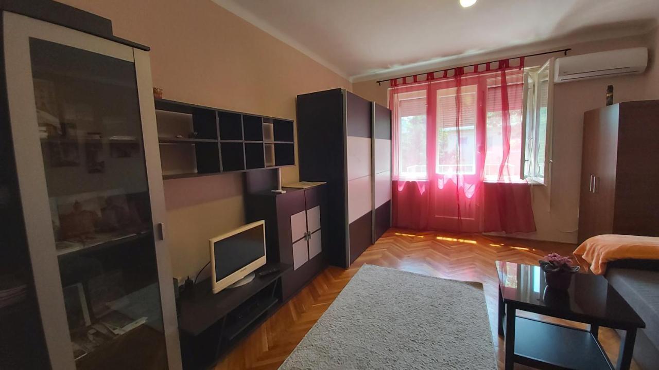 FREE PARKING - Tisza-parti Napfény Apartman Szeged Esterno foto