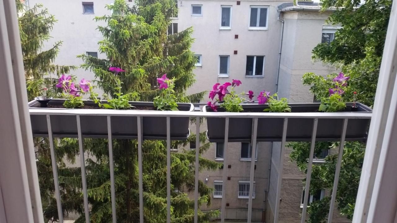 FREE PARKING - Tisza-parti Napfény Apartman Szeged Esterno foto