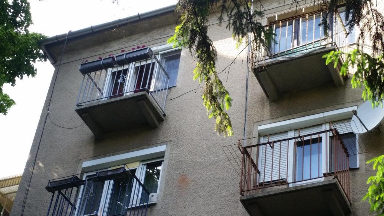 FREE PARKING - Tisza-parti Napfény Apartman Szeged Esterno foto