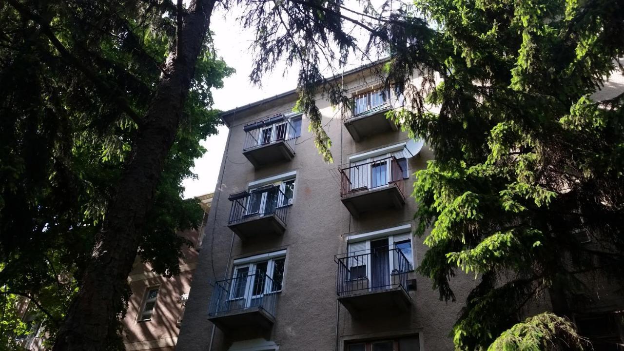 FREE PARKING - Tisza-parti Napfény Apartman Szeged Esterno foto